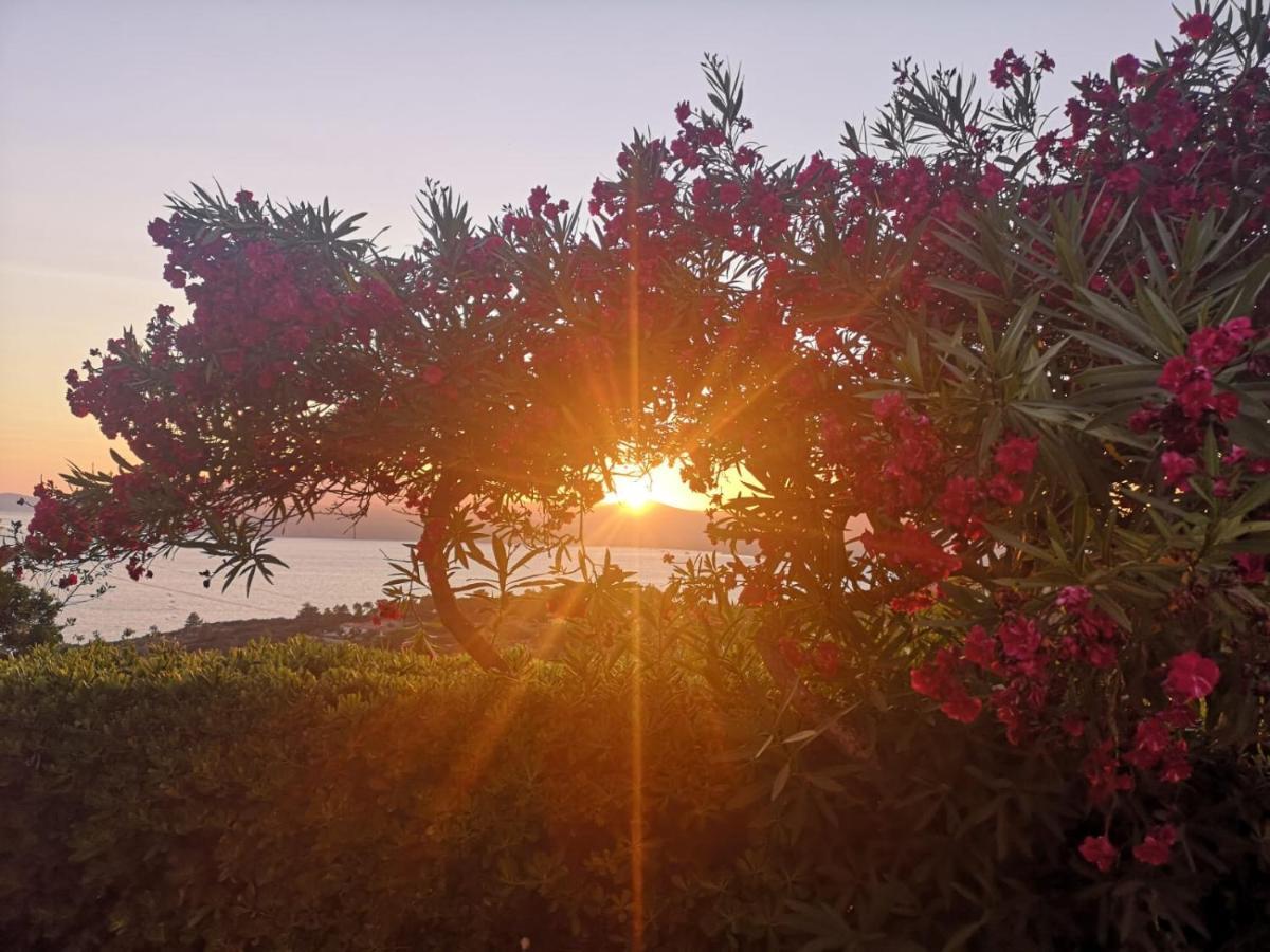 Сasa de vacaciones La Casa Sul Tramonto - - Services Included *